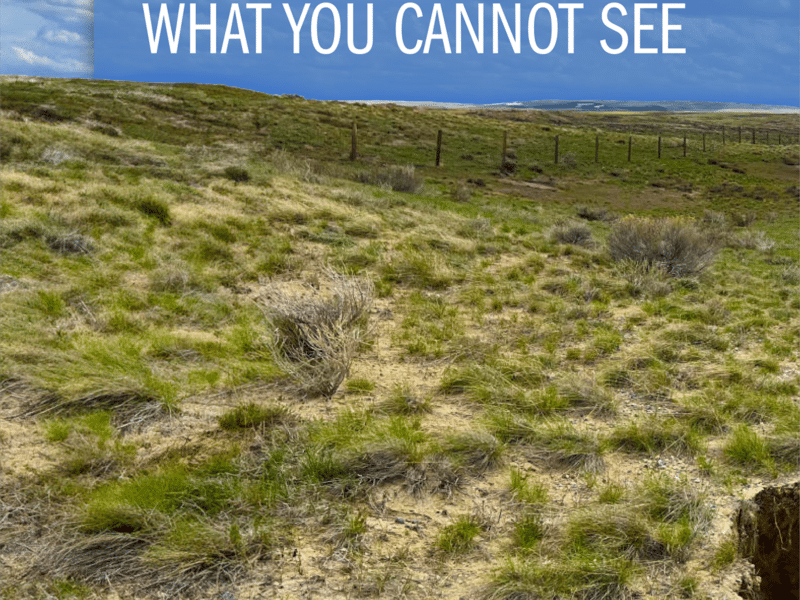 Tracking What You Cannot See